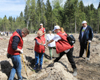 Нотариусы Подмосковья по традиции приняли участие в акции «Лес Победы»